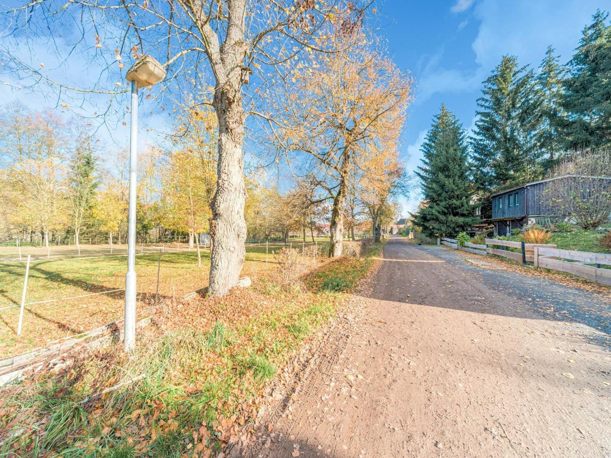 Comely Holiday Home In G Ntersberge Near Forest Guntersberge Exterior photo